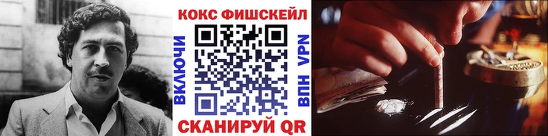 COCAIN Fish Scale  Тейково 