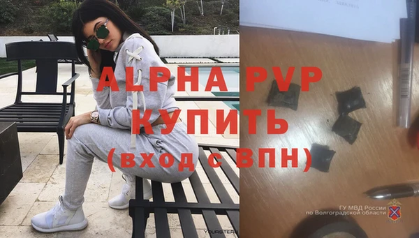 стаф Абаза