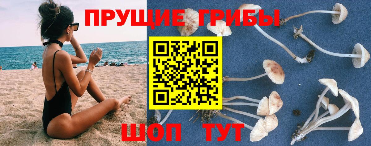 Тейково  Галлюциногенные грибы Psilocybe  Галлюциногенные грибы Psilocybe  Вход с VPN 